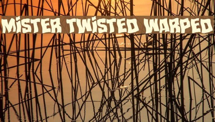 Mister Twisted Warped Font examples