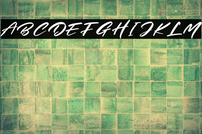 Mister sally Personal Use Example 2