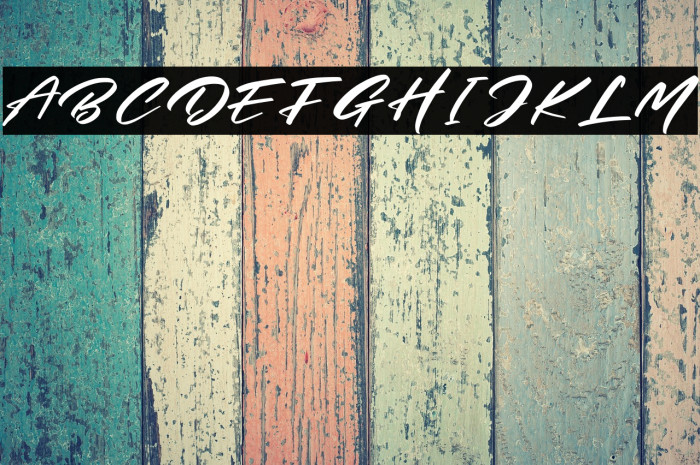 Mister sally Personal Use Example 3