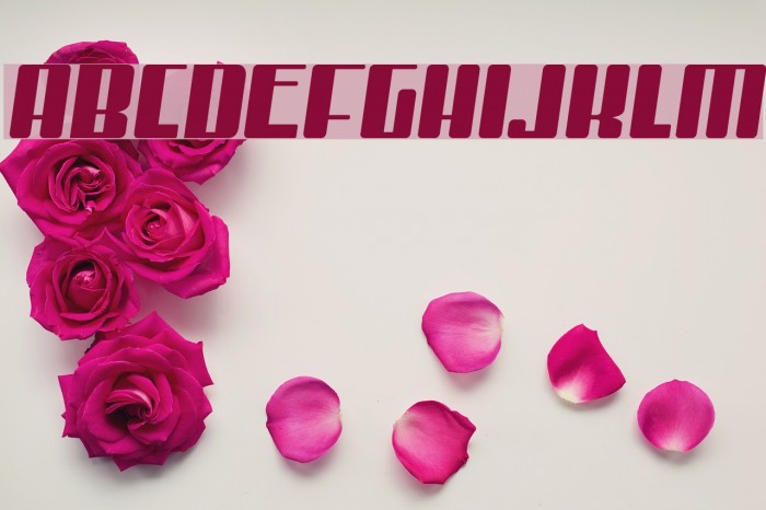 MisterFirley-Regular Example 2