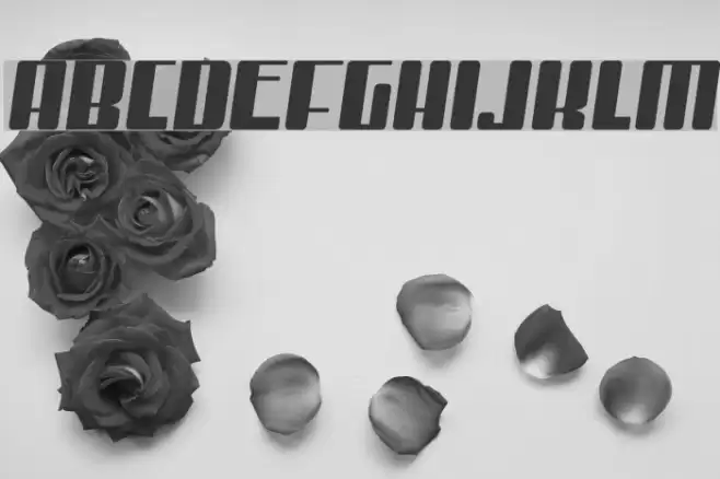 MisterFirley-Regular Font examples