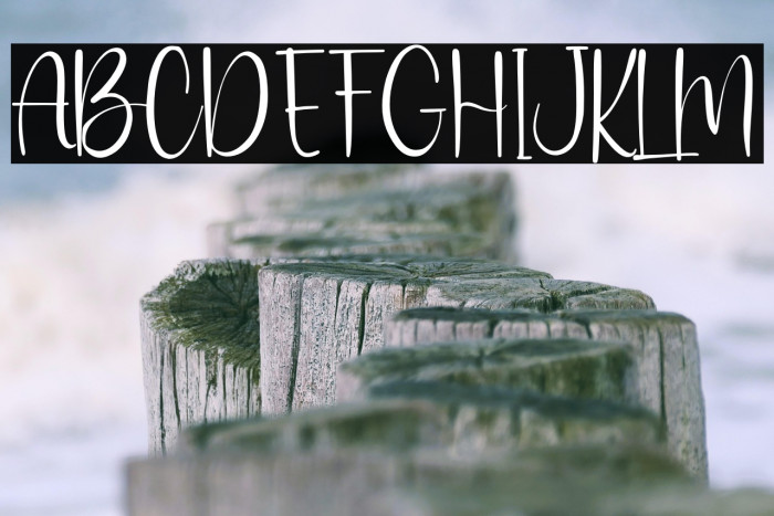 MisterRoman Example 2