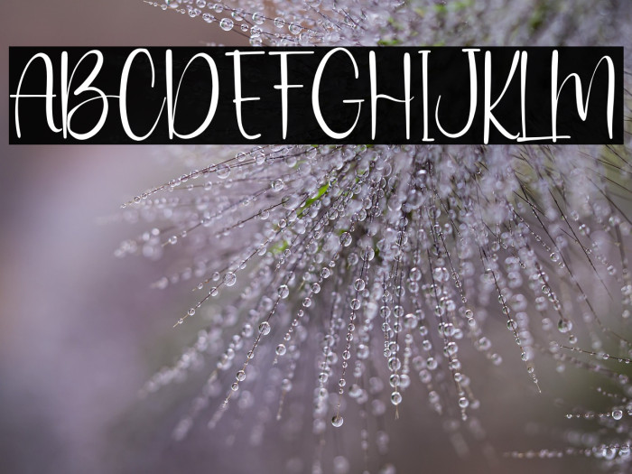 MisterRoman Example 3