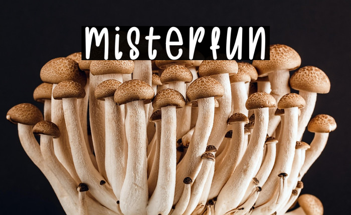 Misterfun Example 2