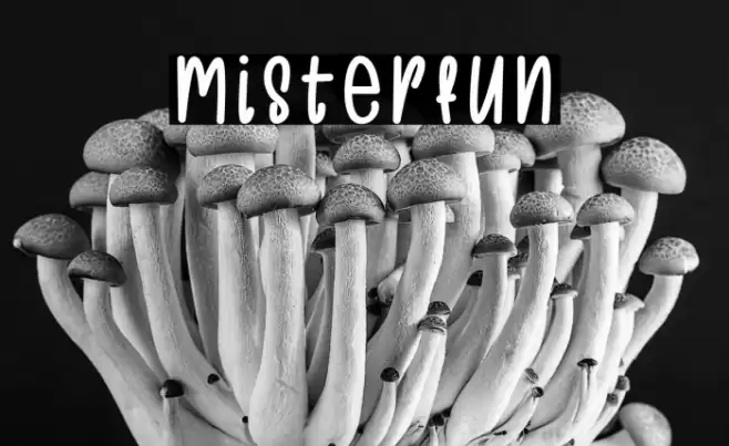 Misterfun Font examples