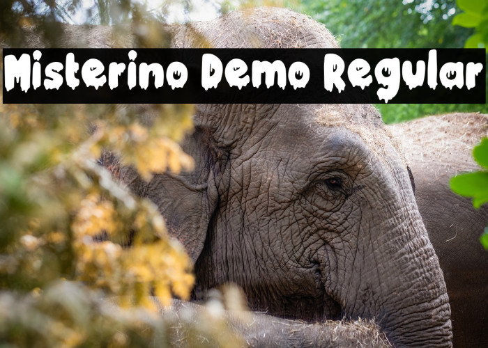 Misterino Demo Regular Example 1