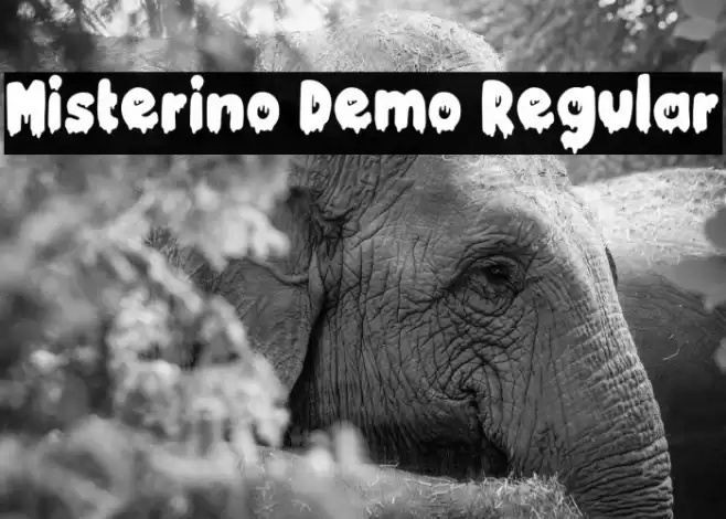 Misterino Demo Regular Font examples