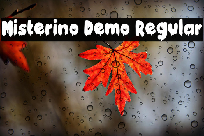 Misterino Demo Regular Example 2