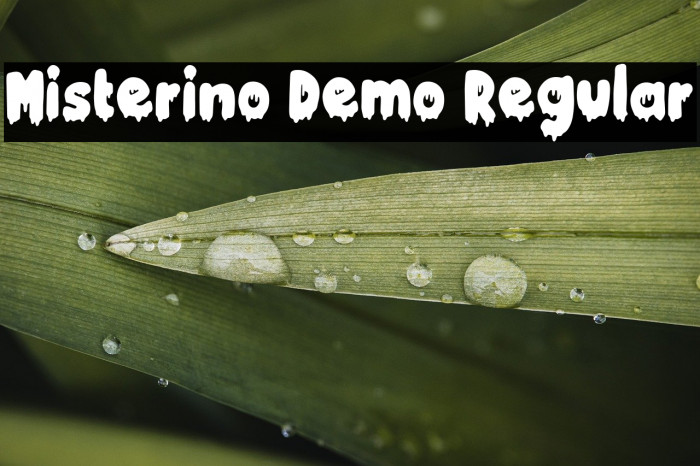 Misterino Demo Regular Example 3