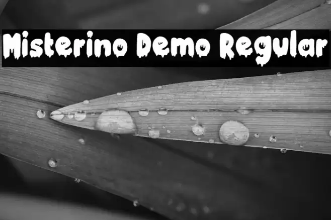 Misterino Demo Regular Font examples