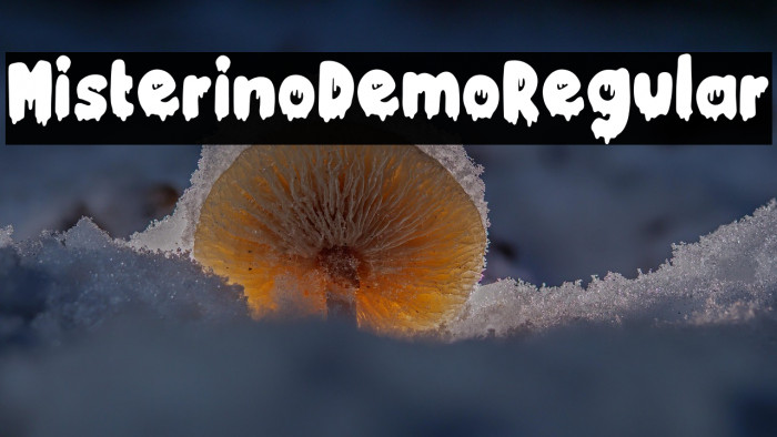 MisterinoDemo-Regular Example 2