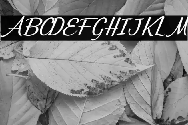 Misterios del Amor Personal Use Regular Font examples