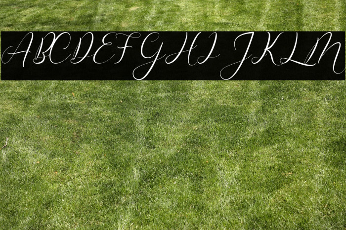 Misterlove Example 2