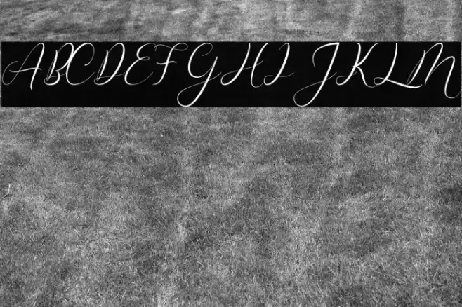 Misterlove Example 2