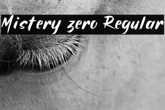 Mistery zero Regular Example 1