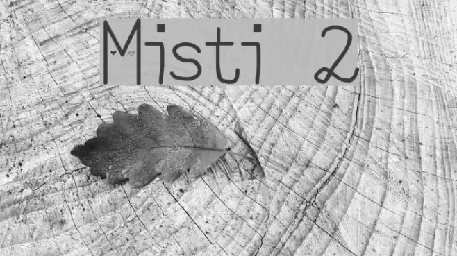 Misti 2 Caratteri examples