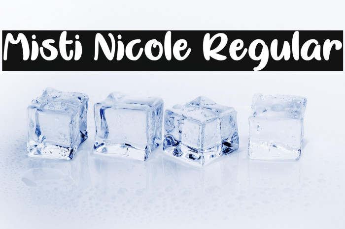 Misti Nicole Regular Example 3