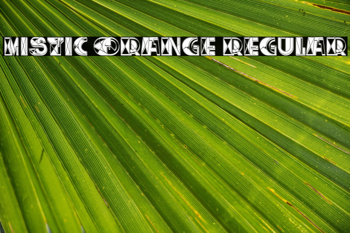 Mistic Orange Regular Example 2