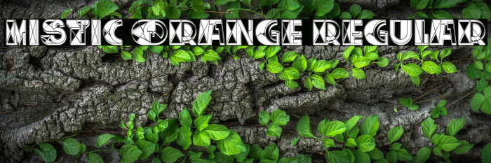 Mistic Orange Regular Example 3