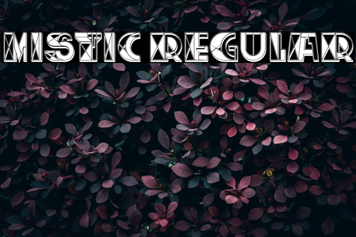 Mistic Regular Example 3