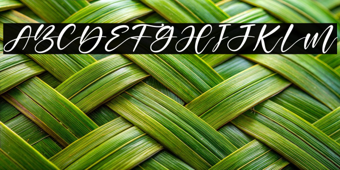 Mistical Winter Example 1