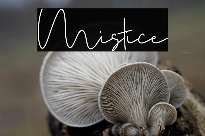 Mistice Example 3