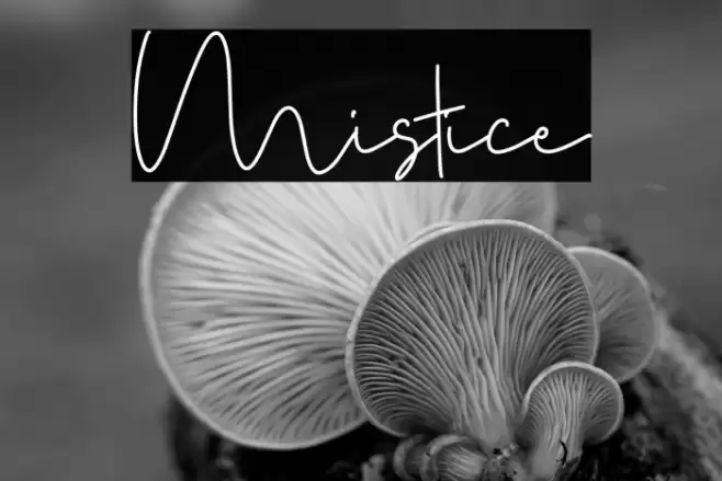 Mistice Font examples