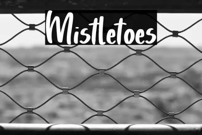 Mistletoes Font examples