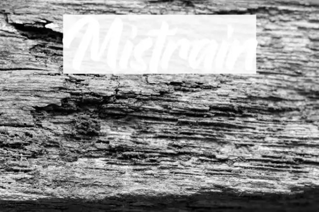 Mistrain Example 1