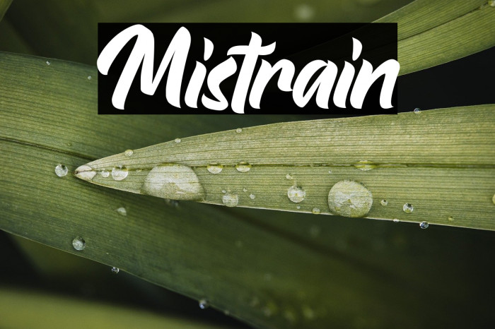 Mistrain Example 2