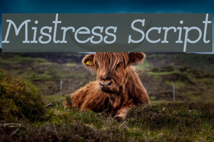 Mistress Script Fonte examples