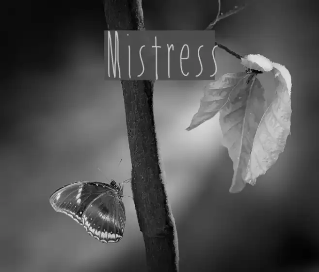 Mistress Font examples