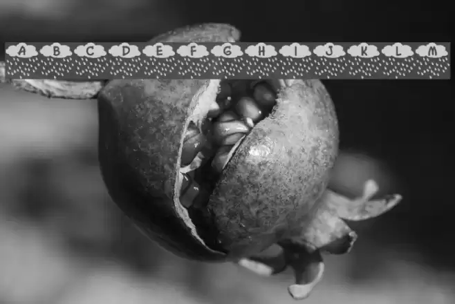 Mistwetter Font examples