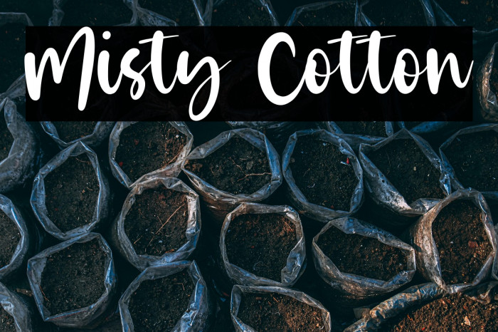 Misty Cotton Example 1