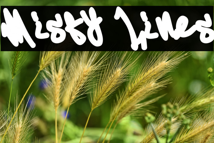 Misty Lines Example 2