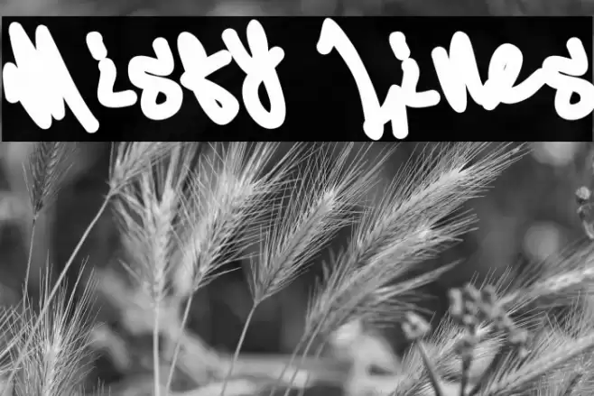 Misty Lines Шрифта examples