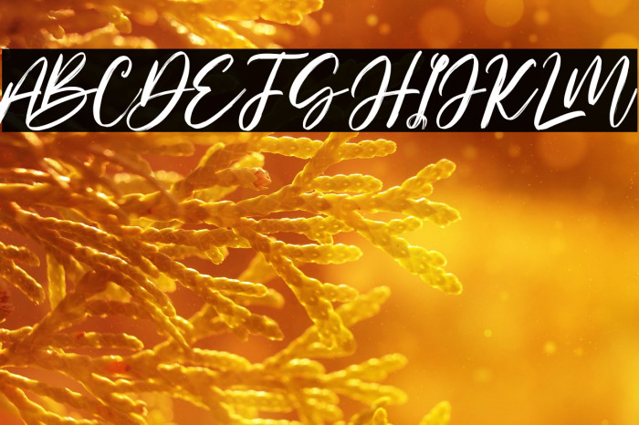 Mistychain Free Regular Example 3