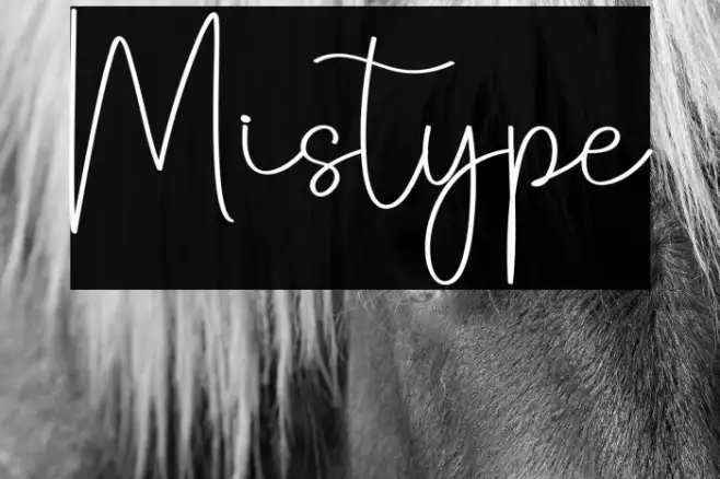 Mistype Example 3
