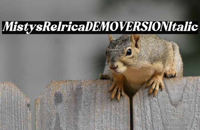 Mistys Relrica DEMO VERSION Italic Example 3