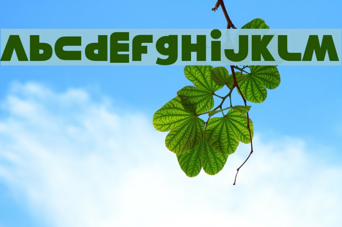 Misunderstanding Example 1