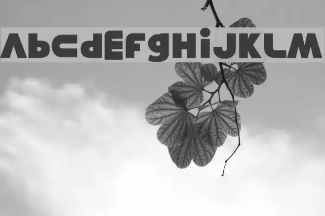 Misunderstanding Font examples