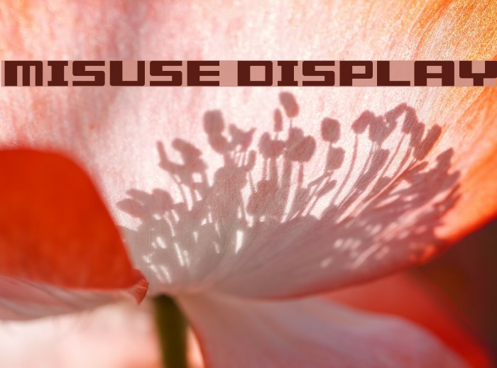 Misuse Display Font examples