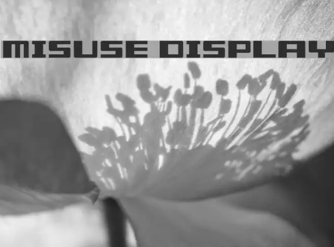 Misuse Display Example 1