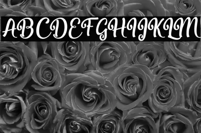 Misyalli Font examples