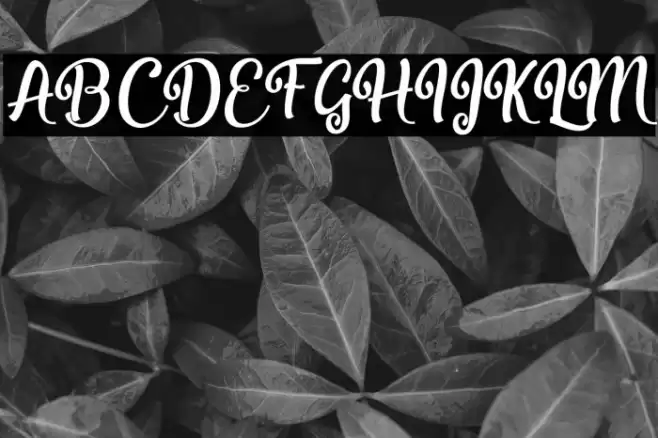 Misyalli Font examples