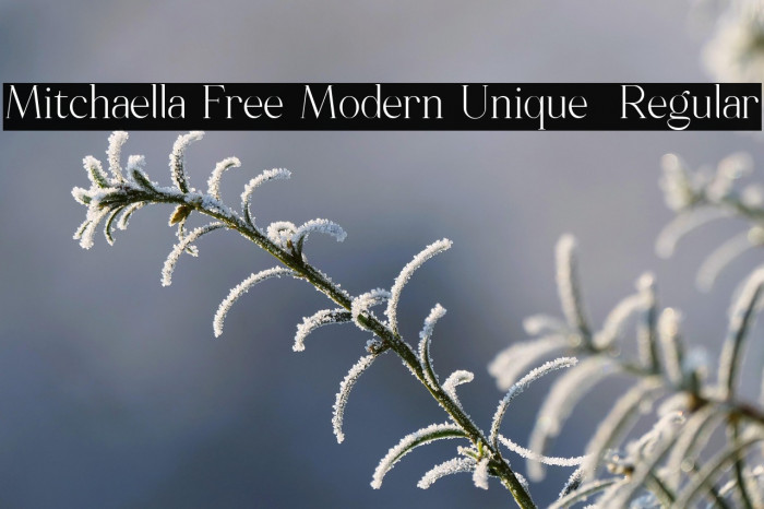 Mitchaella Free Modern Unique  Regular Example 1