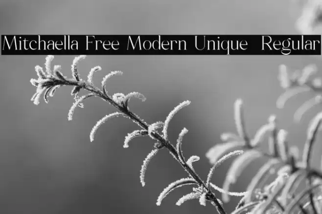 Mitchaella Free Modern Unique  Regular Font examples