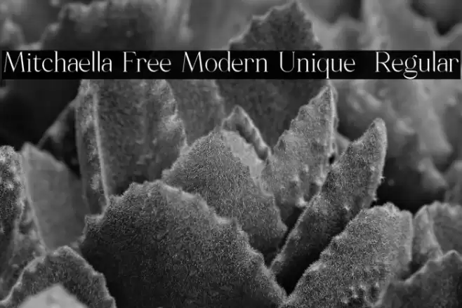 Mitchaella Free Modern Unique  Regular Font examples
