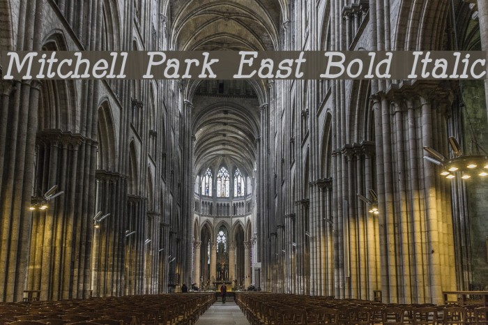 Mitchell Park East Bold Italic Example 2