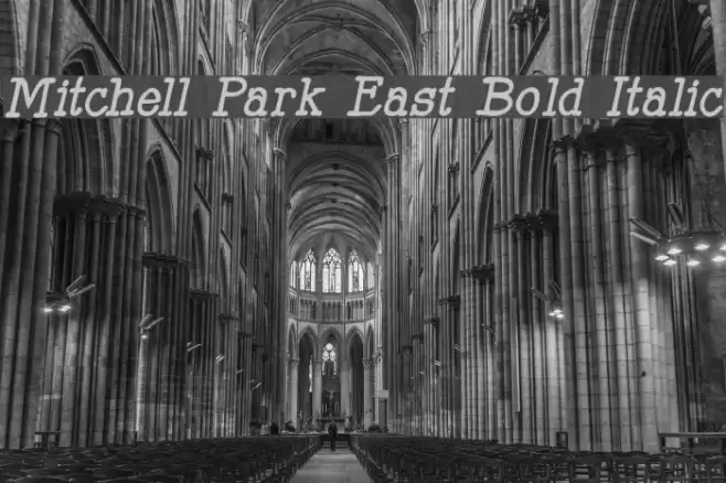 Mitchell Park East Bold Italic Font examples